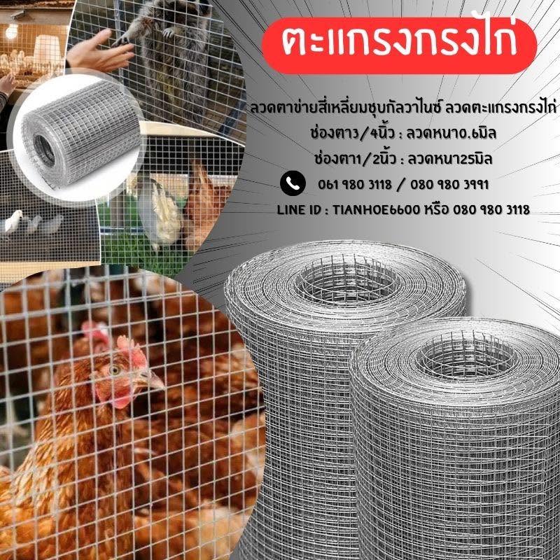 ตะแกรงกรงไก่ - Image 3