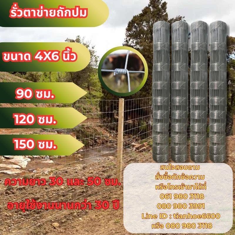 ตาข่ายถักปม - Image 4